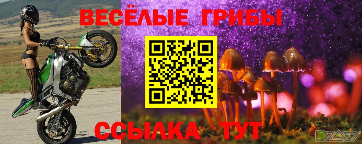 Псилоцибиновые грибы ЛСД  Вход с VPN  закладка  Саянск 